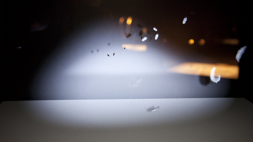Hologramme - Animation